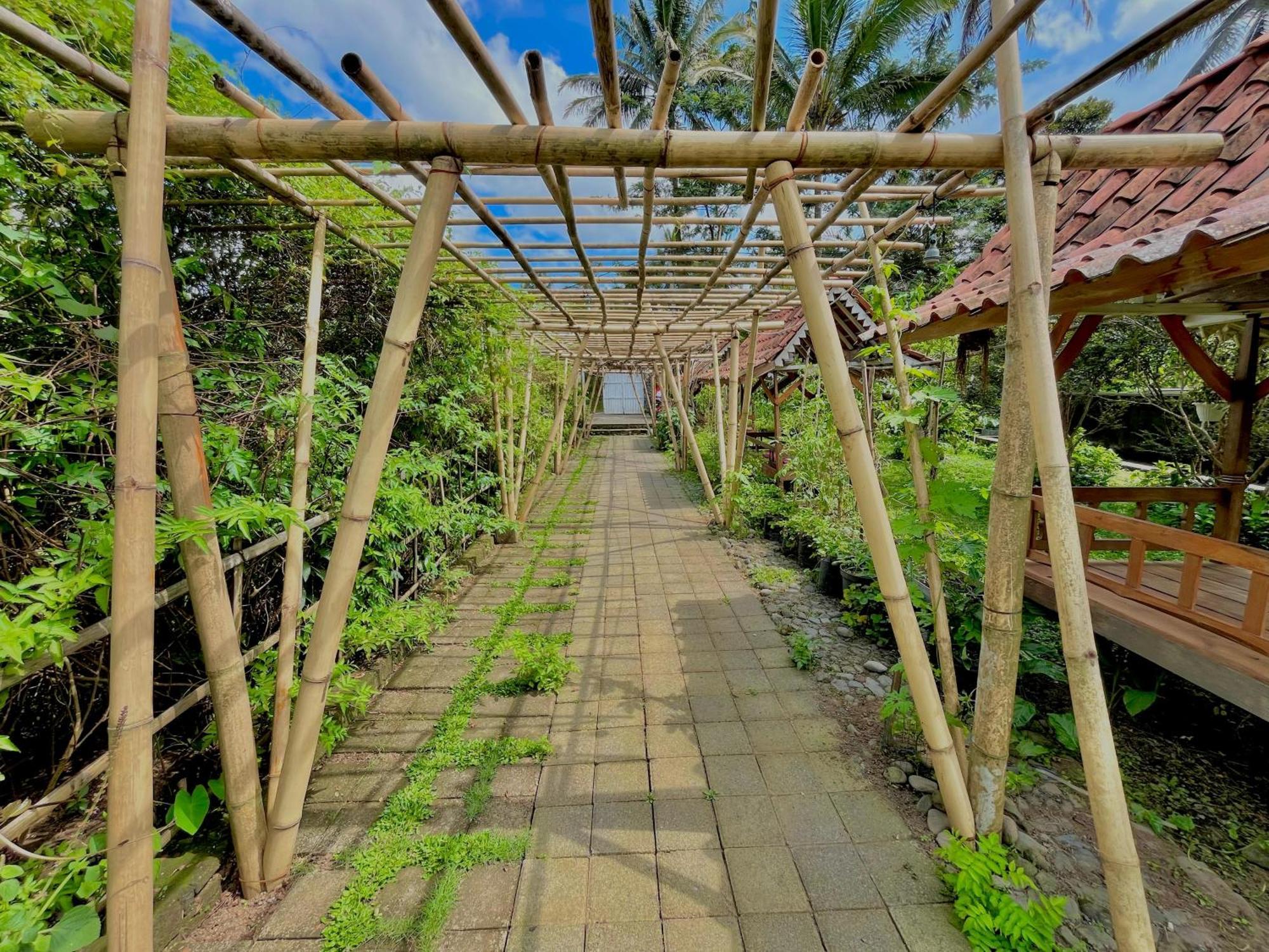 Pondok Isoke Bunggalow Banyuwangi (East Java) Exterior foto